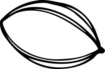 Hand drawn vector line illustration of pecan nut isolated on a white background.