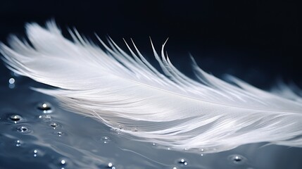 Beautiful soft white bird feather with water bubbles on a dark background. 