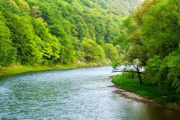 nature landscape with river in spring. green scenery with forested hills. water stream turn right
