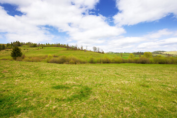 grassy meadow of the hilly rural landscape in spring. beautiful countryside scenery of...