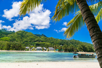 Tropical bay, paradise destination on the Cook Islands. Rarotonga coast with palm tree during a sunny day. One boat on the sea. Blue sky with clouds and turquoise water. Partly cloudy.