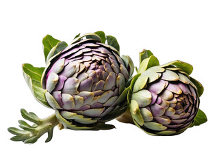 Obraz premium Artichoke png / transparent