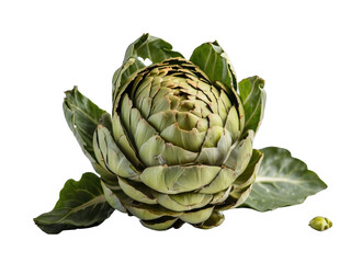 Obraz premium Artichoke png / transparent