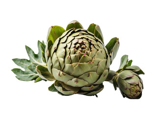 Obraz premium Artichoke png / transparent