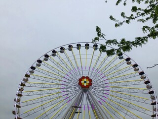 ferris wheel at night