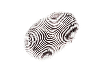 Fingerprint Identity Imprint on Transparent Background, PNG, Generative Ai - obrazy, fototapety, plakaty