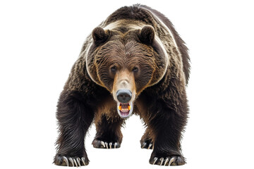 Fierce Bear Saga on Transparent Background, PNG, Generative Ai