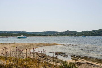 Bonifacio, Bucht, Sant'Amanza, Strand, Kalkfelsen, Kalkklippen, Insel, Korsika, Mittelmeer, Küste, Felsenküste, Wassersport, Schnorcheln, Bootsfahrt, Sommer, Frankreich