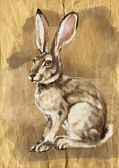 illustration on wrapping paper gray hare