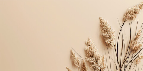 Dried flowers and dry grass on flat pastel beige background with copy space. Backdrop for banner.