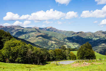 Fototapeta na wymiar Summer landscape in the mountains of Navarra, Pyrenees, Spain