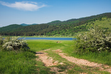 Green grass meadow and a lake with clouds on backgorund in spring