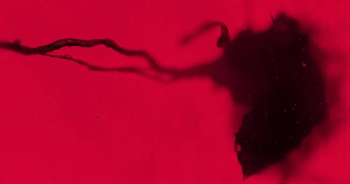 Red horror bacteria and large dark veins under a microscope. Thriller alive tubes under a microscope. Creepy cinematic microworld with floating particles and germs under a scope. Thriller biology