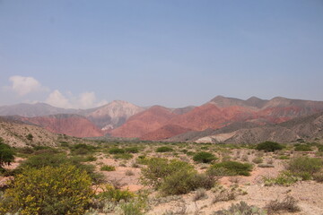 Fields with animals and crops in northwest Argentina