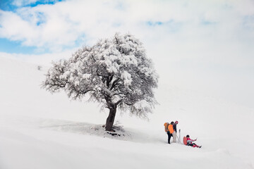 Hikers enjoying the beauty of nature