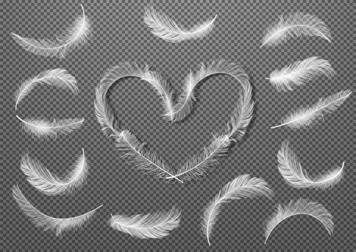 Big Set of White Realistic Different Fluffy Twirled Falling Feathers Isolated on Transparency Grid Background. Feathers collected in the shape of a heart. Vector illustrtion