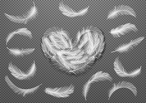 Big Set of White Realistic Different Fluffy Twirled Falling Feathers Isolated on Transparency Grid Background. Design Template. Vector illustrtion