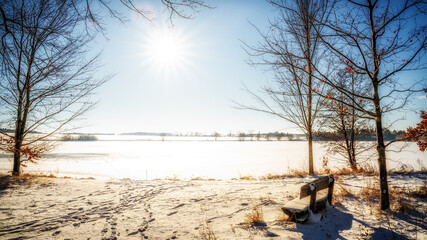 winter in the park