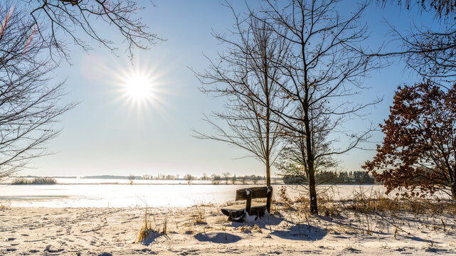 Plothen in Thuringia turns into a true snow paradise in winter, where the ponds become glittering ice surfaces and the starlings probably need ice skates rather than water wings