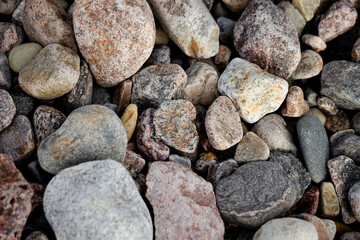 Beach rocks