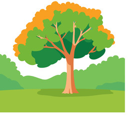 illustration of a tree in the park