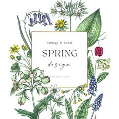 Spring wreath design. Wildflower sketches Floral cards, wedding invitations, wild flower background. Hand-drawn vector illustration, NOT AI-generated