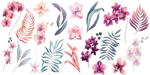 Set of watercolor pastel colored orchid flowers and palm leaves, hand drawn illustration - 733870931