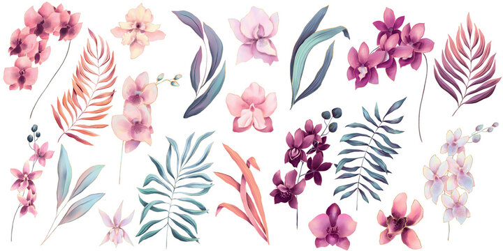 Set of watercolor pastel colored orchid flowers and palm leaves, hand drawn illustration
