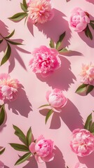 Vivid pink peonies with lush green leaves scattered on a bright pink surface, casting soft shadows in sunlight