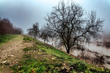 Sendero junto al rio y niebla
