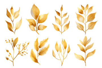 Watercolor design elements collection of golden glitter leaves, branches