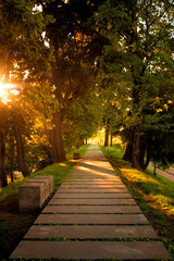 caminho no parque