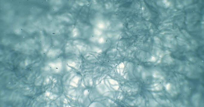 Thriller spider web under a microscope with moving germs and bacteria