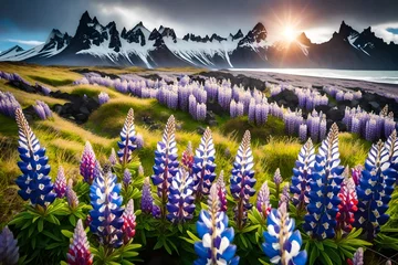 Fotobehang landscape with flowers © qaiser