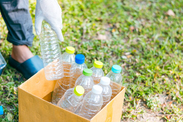 Plastic bottle waste for recycling, reuse concept. Volunteers store plastic bottles in cardboard boxes at a park. Disposal, recycling and waste management. 