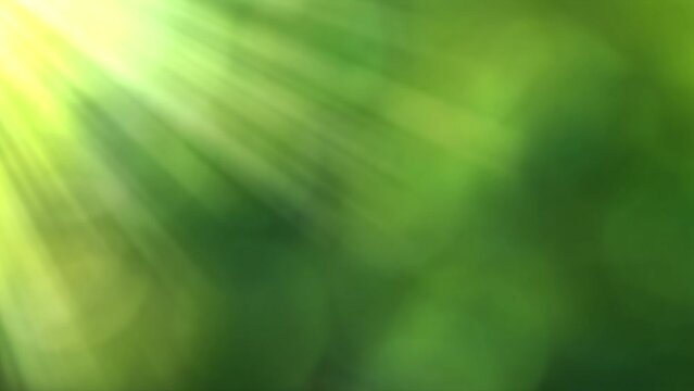 abstract slow motion sunrise in spring meadow, fresh green empty springtime awakening background with sunbeams and copy space, landscape nature scene backdrop for product display