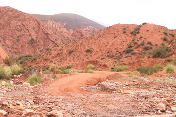 Rural landscape and mountains in northwest Argentina
