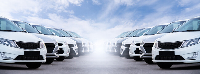 Cars in a row. Used car sales
