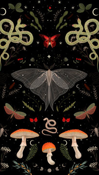 forest mushroom illustration on dark background. fly agaric and grebe. magical elements. ideal for printing on a calendar, fabric, postcard and design	
