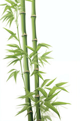 Painting of auspicious bamboo trees on a white background.