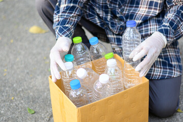 Volunteers collect waste plastic bottles in cardboard boxes.