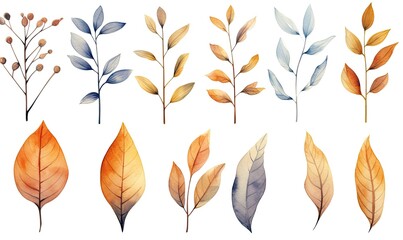 Assorted Leaves in Vibrant Array