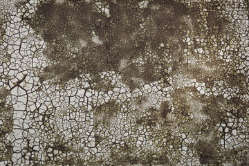 Old cracked paint on the concrete wall. Cracked and peeling weathered paint. Weathered rough painted surface with patterns of cracks and peeling. Panoramic texture for background and design.