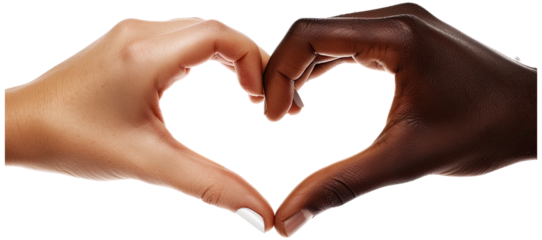 two hands from diverse ethnic backgrounds , heart shape against illustration PNG element cut out transparent isolated on white background ,PNG file ,artwork graphic design