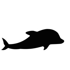 Silhouette Of Dolphin 
