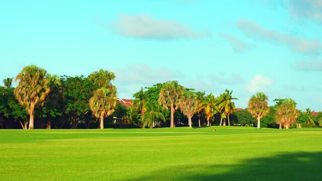 Golf course landscape. A green lawn and a beautiful view of the sky over a lawn with palm trees. Short cut grass lawn in a tropical golf park and blue sky. Outdoor sport and lifestyle concept.