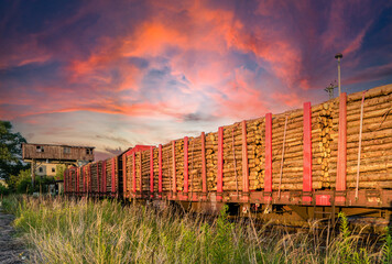 Freight train loaded with logs in the sunset