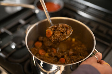 Stew in pot and ladle