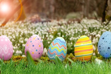Colorful Easter Eggs on Spring Background