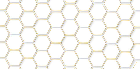 Fototapeta na wymiar Abstract modern Background with white lines 3d Hexagonal structure futuristic white background and Embossed Hexagon , honeycomb white Background ,light and shadow ,Vector.